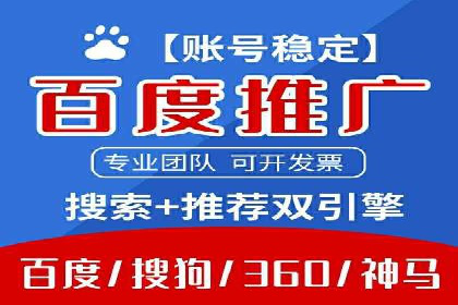 SEM竞价推广案例：打造行业领先的广告投放策略