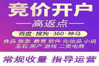 SEM托管公司案例分析：数据驱动决策